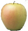 Blushing Golden apple