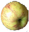 Gravenstein apple