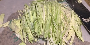 cabbage - shredding