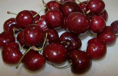 Cherry picking tips