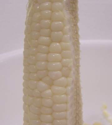         corn,%20kernels%20cu