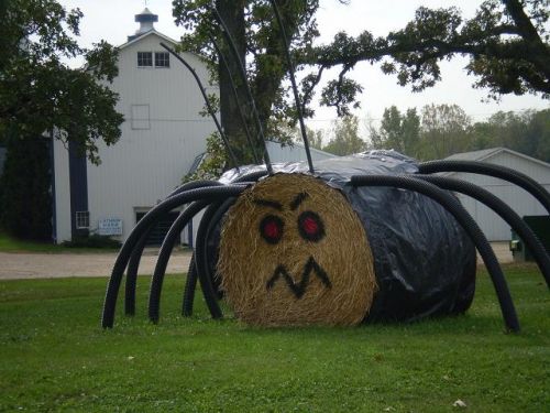 Hay bale spider