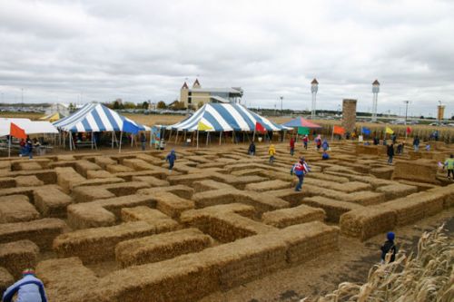 Hayabale maze