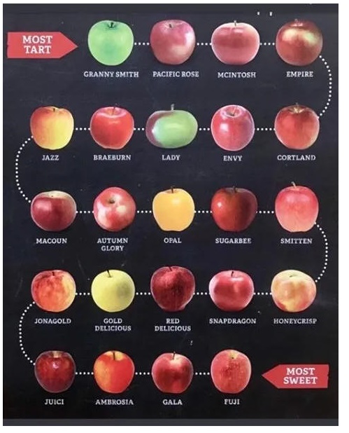 Different Varieties of Apples