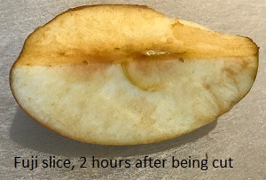 Fuji apple slice, 2 hours after being cut