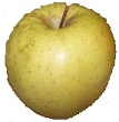 Golden Delicious apple