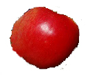 American Apple Varieties and Characteristics - Alphabetical Listing