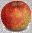 Jonagold apple