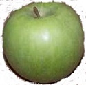 American Apple Varieties and Characteristics - Alphabetical Listing