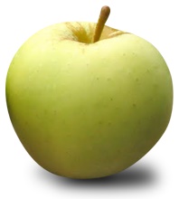 Honeycrisp vs. Evercrisp smackdown - Adam's Apples