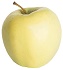 Virginia Gold apple