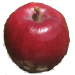 American Apple Varieties and Characteristics - Alphabetical Listing