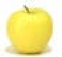 golden_delicious_apple