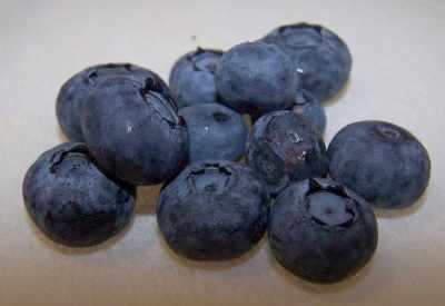 Fresh picked blueberries