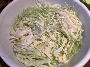 cabbage- in bowl, pound or mash