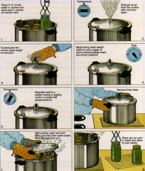 Simple Pressure canning directions picture