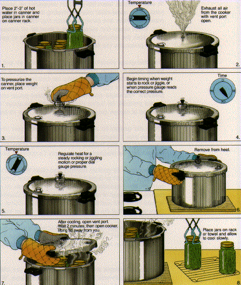 Step By Step Electric Pressure Canning