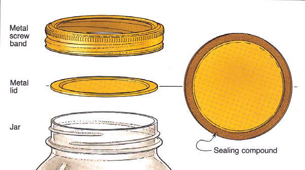 https://www.pickyourown.org/canning_directions/lids_rings_bands.jpg