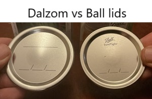 Dalzom gebneric canning lids - top