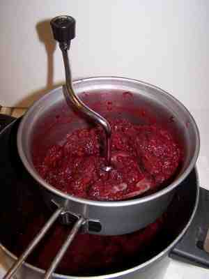 Source Fruit Strawberry Blueberry Removing Pips And Seeds Jam Straining  Rack Jam and Jelly Strainer Set on m.