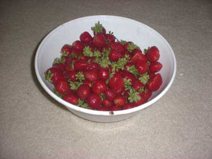 How To Make Strawberry Jelly Easily With Step By Step Photos Recipe Ingredients And Costs