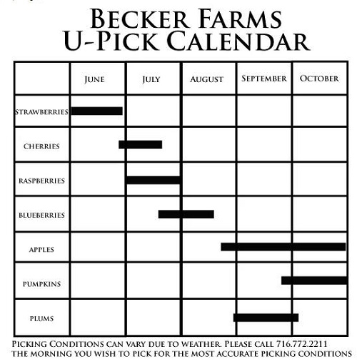 Becker Farms in western NY crop calendar