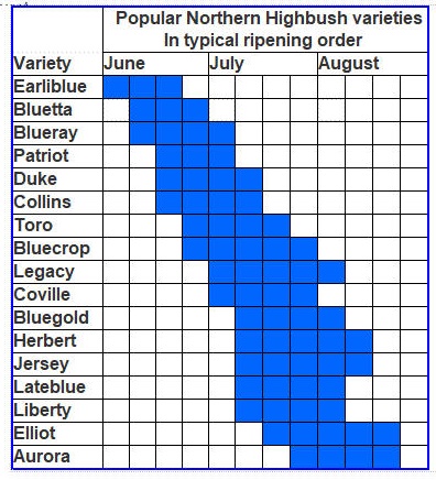 Blueberry Variety Chart