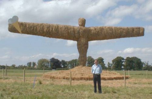 Hay bale bird