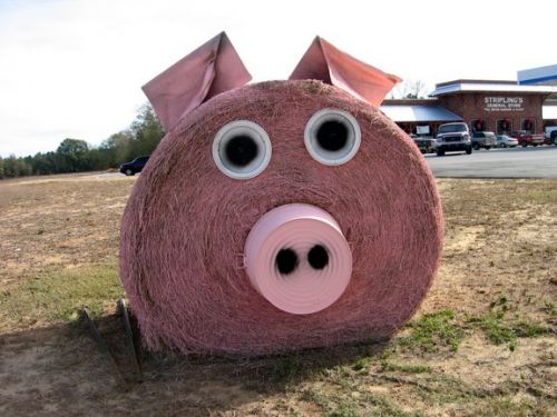 Hay bale pig