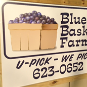 Blue Basket Farms - Blueberry