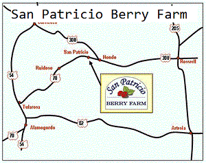 San Patricio Berry Farm map