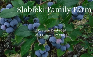 Slabicki Family Farm Blueberries in Crane, NY