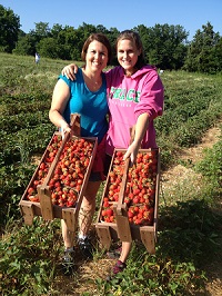 Barefoot farm strawberries