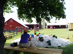 Braehead Farm - strawberries, beans, blackberries, cucumbers, peas, peppers, pumpkins, raspberries (red), summer squash, tomatoes,