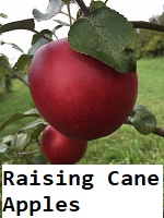 Raising Cane Apples