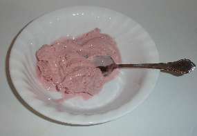 How To Make Homemade Low Fat Sugar Free Ice Cream Directions Recipe With Photos Easy And Free