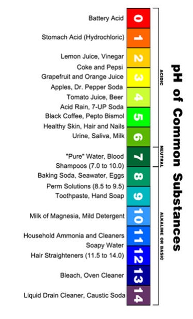 Chart of pH of common substances