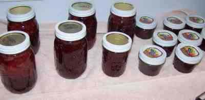 Jam jars, filled, processed and cooling