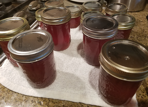 Kudzu jelly in jars