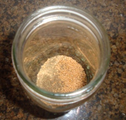 pint jar with mustard seed and celery seed