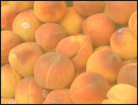 How to Pick the Best Peaches