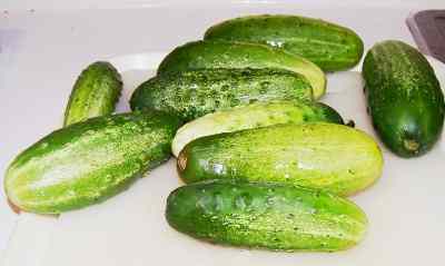 How To Make Homemade Refigerator No Canning Needed Dill Pickles Or Bread And Butter Pickles Easily With Step By Step Photos Recipe Directions Ingredients And Costs