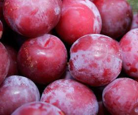 Learn How to Perfectly Freeze Plums