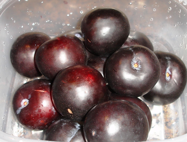 All About Plums - How to Pick, Prepare & Store