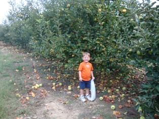 Children as young as 2 and 3 love to pick apples!