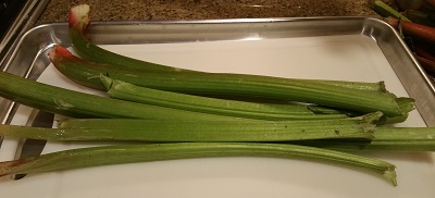 my rhubarb stalks are green