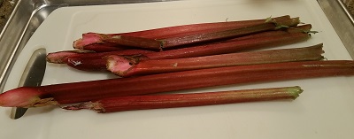 Fresh red rhubarb