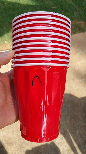 Solo cups labeled for seeds