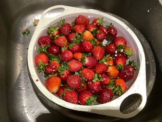 washing the strawberries
