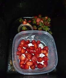 strawberries - cut the hulls